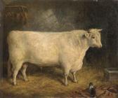STEELL Gourlay A Prize Bull STEELL Gourlay A Prize Bull