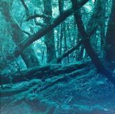 STEPHENSON David Dark Nature Ii STEPHENSON David Dark Nature Ii