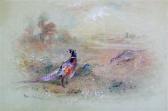 STINTON James Pheasants In Landscapes STINTON James Pheasants In Landscapes