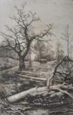 STOCOMBE E. Felled Trees STOCOMBE E. Felled Trees