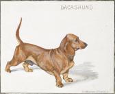 STOKES George Vernon Dachshund STOKES George Vernon Dachshund