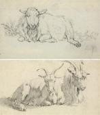 STOKVISH Hendrik Mouton Couché STOKVISH Hendrik Mouton Couché