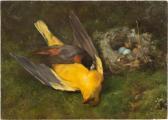 STORTENBEKER Cornelis Zwei Vögel Neben Einem Vogelnest STORTENBEKER Cornelis Zwei Vögel Neben Einem Vogelnest