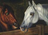 STOTZ Otto Horse Play STOTZ Otto Horse Play