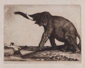 STRANG William My Lord The Elephant STRANG William My Lord The Elephant
