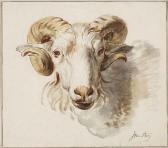 STRY van Jacob The Head Of A Ram STRY van Jacob The Head Of A Ram