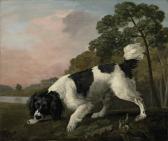 STUBBS George A Black And White Spaniel Following A Scent, In A Landscape STUBBS George A Black And White Spaniel Following A Scent, In A Landscape