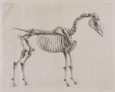 STUBBS George The Anatomy Of The Horse STUBBS George The Anatomy Of The Horse