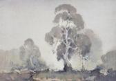 STURGESS Reginald Ward Grey Gums STURGESS Reginald Ward Grey Gums
