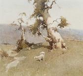 STURGESS Reginald Ward The Leaning Gum STURGESS Reginald Ward The Leaning Gum