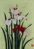 SUGIURA Kazutoshi Iris No. 24 SUGIURA Kazutoshi Iris No. 24
