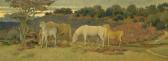 sumner g heywood maunoir Ponies In The New Forest sumner g heywood maunoir Ponies In The New Forest