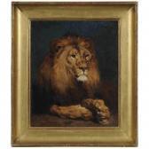 SURAND Gustave Le Lion D'abyssinie SURAND Gustave Le Lion D'abyssinie