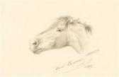 SVERCHKOV Nikolai Egorovich Horse’’’’s Head SVERCHKOV Nikolai Egorovich Horse’’’’s Head