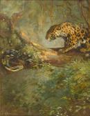 SWAN Cuthbert Edmund Leopard And Python SWAN Cuthbert Edmund Leopard And Python