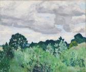 SWANE Lars Landscape SWANE Lars Landscape