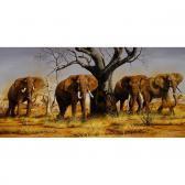 swanson gary r. Bulls Of Tsavo swanson gary r. Bulls Of Tsavo