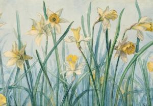  - syberg_anna_l__née_hansen-white_narcissus~OM497300~10127_20071127_100000105_98