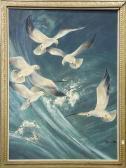 TATSUO Ito Seagulls TATSUO Ito Seagulls