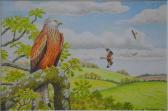 THELWELL david Red Kite (milvus Milvus) Perched In A Landscape THELWELL david Red Kite (milvus Milvus) Perched In A Landscape