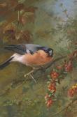 THORBURN Archibald Bullfinch; THORBURN Archibald Bullfinch;