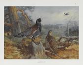 THORBURN Archibald Game Birds And Wild-fowl Of Great Britain And Ireland. THORBURN Archibald Game Birds And Wild-fowl Of Great Britain And Ireland.