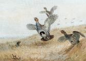 THORBURN Archibald Ptarmigan In The Snow; And Grouse Taking Flight THORBURN Archibald Ptarmigan In The Snow; And Grouse Taking Flight