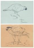 THORBURN Archibald Study Of A Grouse THORBURN Archibald Study Of A Grouse