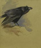 THORBURN Archibald The Raven THORBURN Archibald The Raven