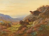 THORBURN Archibald When The Gloaming Comes - Red Grouse THORBURN Archibald When The Gloaming Comes - Red Grouse