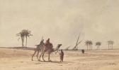 TILCHE Otto Camels TILCHE Otto Camels