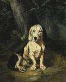 TROYON Constant A Seated Basset Hound TROYON Constant A Seated Basset Hound