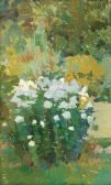 TRUSZ Iwan Phlox TRUSZ Iwan Phlox