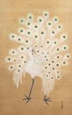 TSUNENOBU Kano Paon Blanc De Face Faisant La Roue TSUNENOBU Kano Paon Blanc De Face Faisant La Roue
