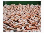 TUNICK Spencer Untitled TUNICK Spencer Untitled
