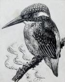 TUNNICLIFFE Charles Frederick Kingfisher TUNNICLIFFE Charles Frederick Kingfisher