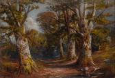 TURNER Ben Turner The Joy Of A Woodland Stream TURNER Ben Turner The Joy Of A Woodland Stream