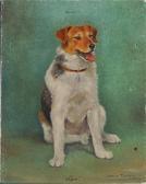 TURNER Maud 'judy' - A Mongrel TURNER Maud 'judy' - A Mongrel