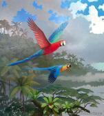 TWIGDEN Blake Parrots TWIGDEN Blake Parrots