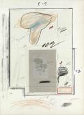 TWOMBLY Cy Natural History, Part I, Mushrooms: No. Iii TWOMBLY Cy Natural History, Part I, Mushrooms: No. Iii