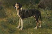 UCHERMANN Karl Hound UCHERMANN Karl Hound