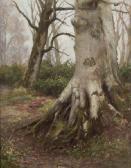 USSHER Arland A. Spring Time, An Irish Forest View USSHER Arland A. Spring Time, An Irish Forest View