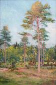 VACLAV Rytir Pine VACLAV Rytir Pine