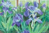 VAHEY Brian June Irises VAHEY Brian June Irises