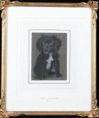 VALENTINE John A Portrait Of A Black Puppy VALENTINE John A Portrait Of A Black Puppy