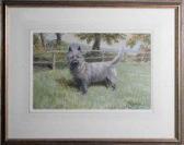 VALENTINE John A Scottish Terrier In A Field VALENTINE John A Scottish Terrier In A Field