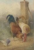 VALTER Frederick E. Hens In A Farmyard; And A Cockerel And Hen By A Water Pump(illustrated) VALTER Frederick E. Hens In A Farmyard; And A Cockerel And Hen By A Water Pump(illustrated)