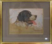 VAN CUYCK Octave Portrait De Chien VAN CUYCK Octave Portrait De Chien