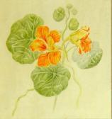 VAN EYS MARINUS Fleurs VAN EYS MARINUS Fleurs