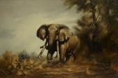 VAN HOWD Douglas Elephants VAN HOWD Douglas Elephants
